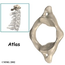 atlas-vertabrae.jpg